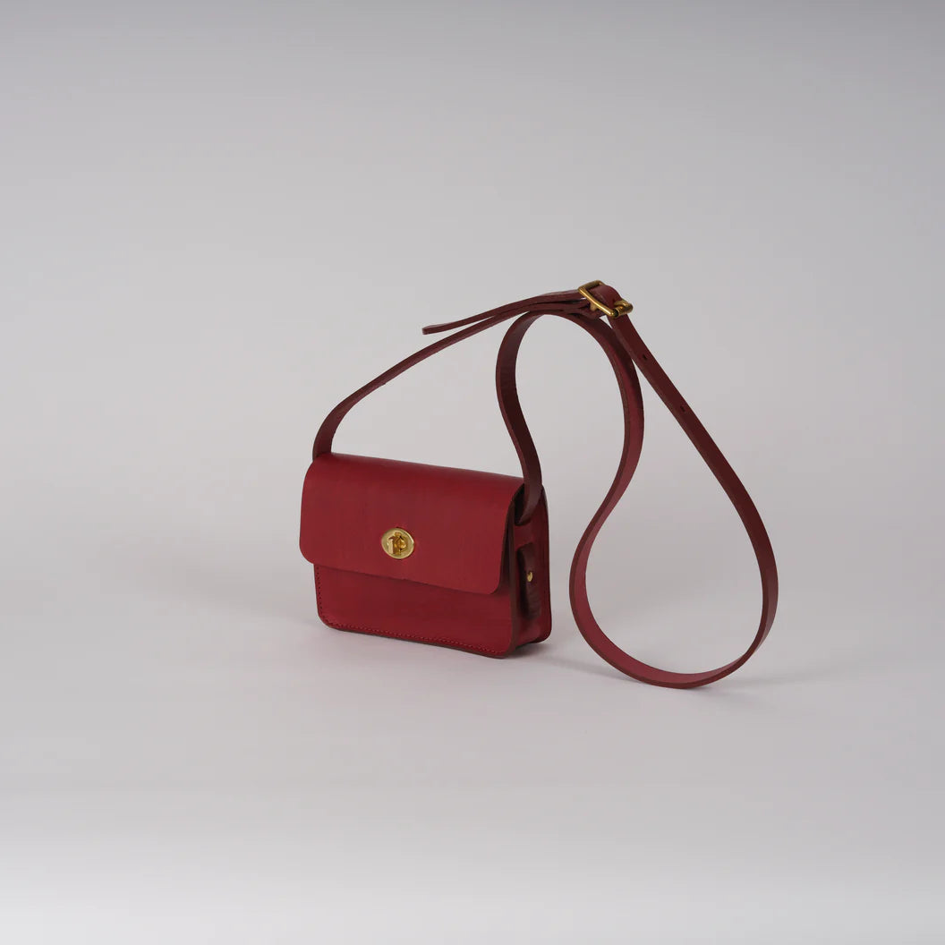 Beetroot Mini Spin Bag