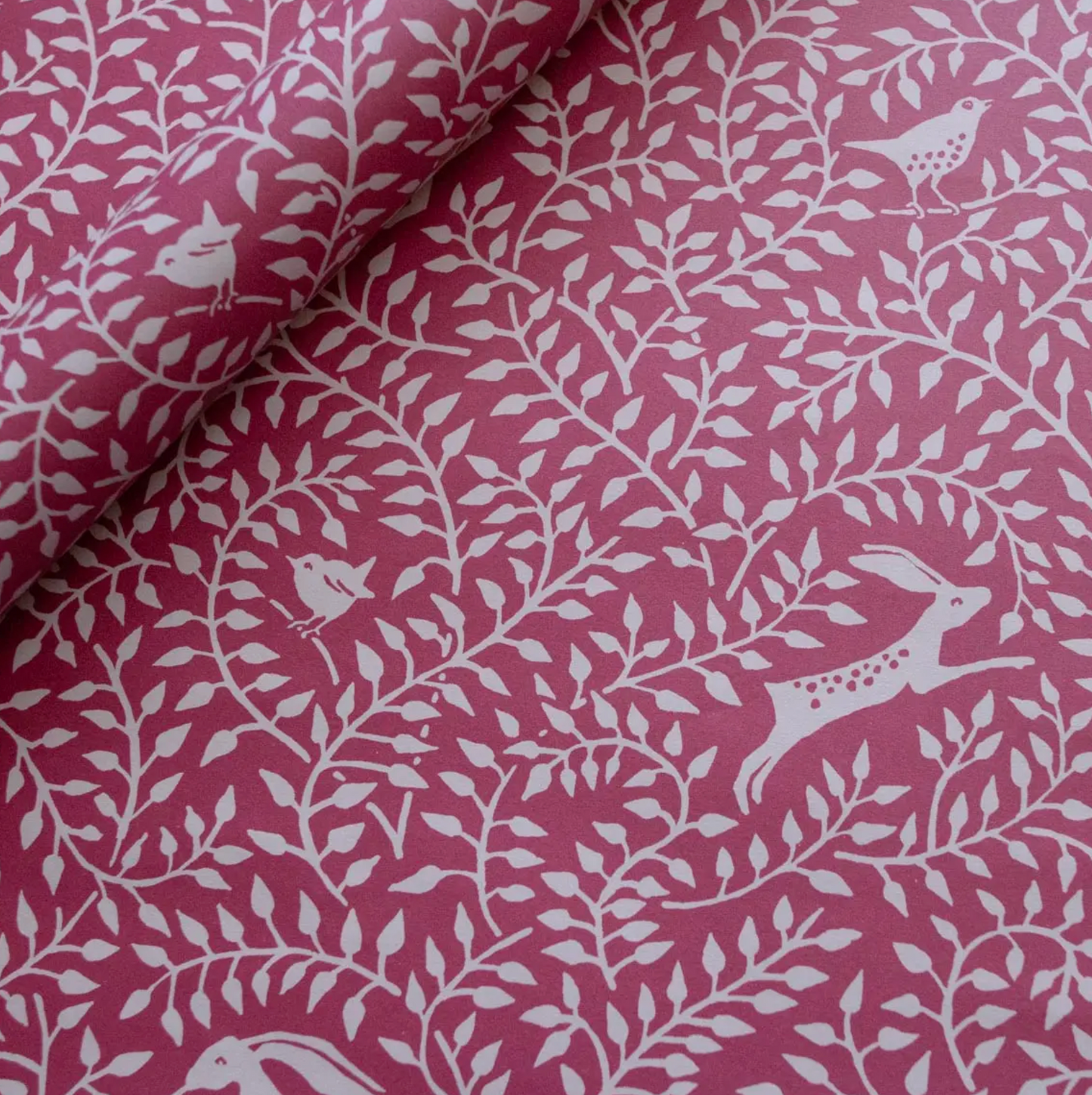 Dancing Hare Gift Wrap