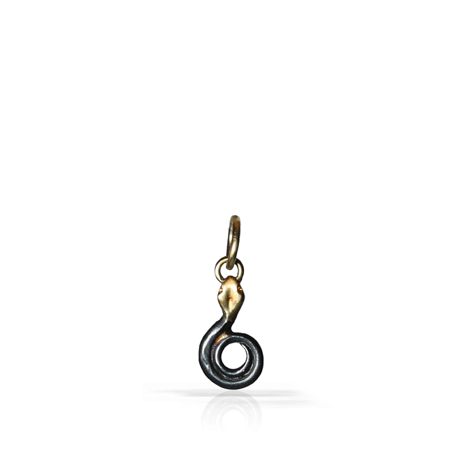 A small pendant charm shaped like a coiled snake or loop, with a dark oxidized finish and a small gold-toned loop at the top, shown on a plain white background.
