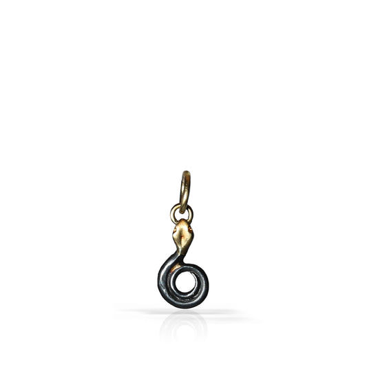 A small pendant charm shaped like a coiled snake or loop, with a dark oxidized finish and a small gold-toned loop at the top, shown on a plain white background.