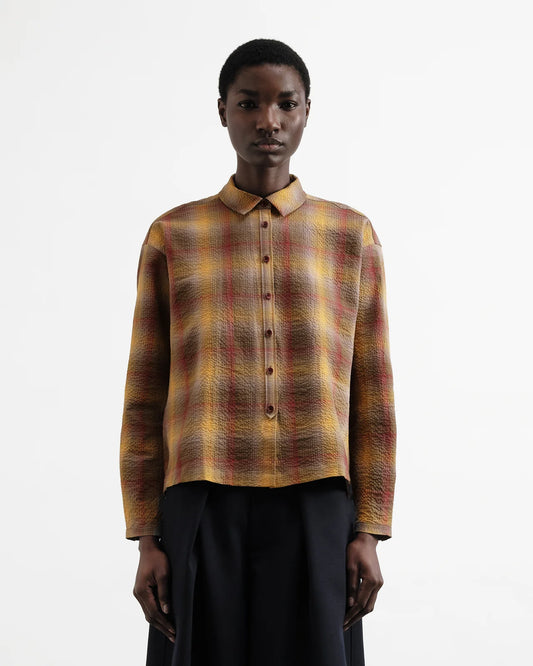 Person wearing a plaid shirt with a plain background
