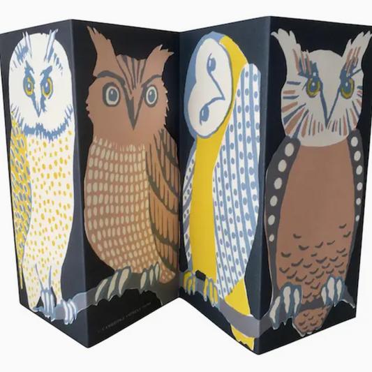 Concertina greeting card with owl illustrations